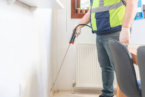 Best Mosquito Control Services  in Lake Lorraine, FL
