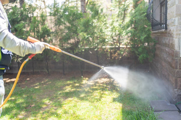 Best Spider Control Near Me  in Lake Lorraine, FL