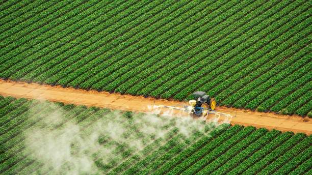 Best Best Pest Control Companies  in Lake Lorraine, FL