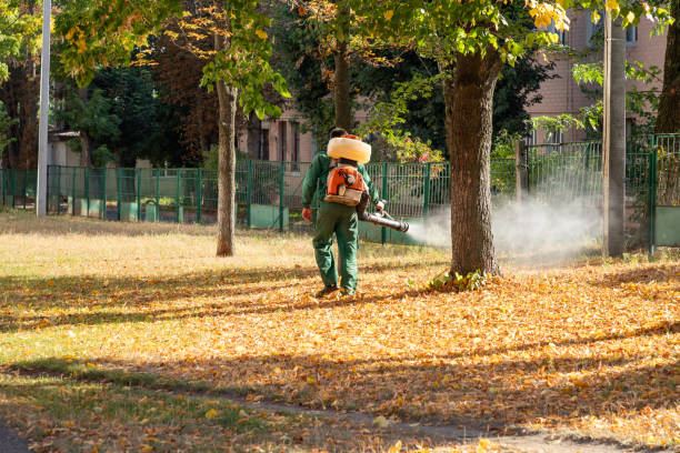 Best Pest Prevention Services  in Lake Lorraine, FL