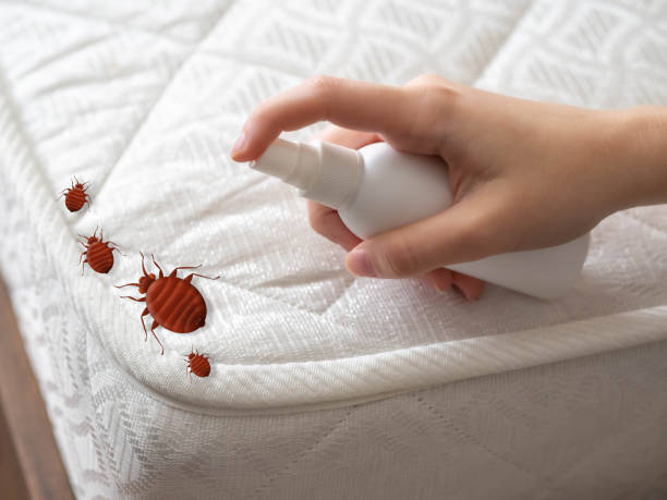 Best Best Pest Control Companies  in Lake Lorraine, FL