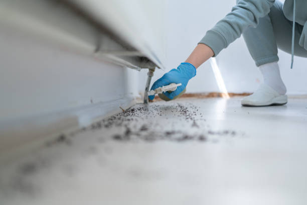 Best Residential Pest Control  in Lake Lorraine, FL
